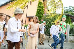 Wiesenfest