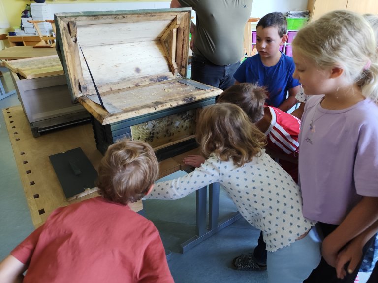 Bienen